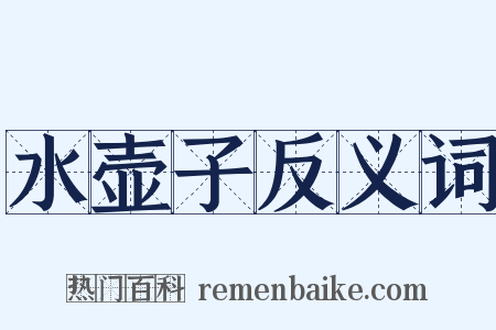 水壶子反义词是什么意思的图片